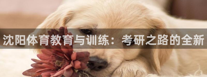 风速体育app下载安装最新版本：沈阳体育教育与训练：考研之路的全新