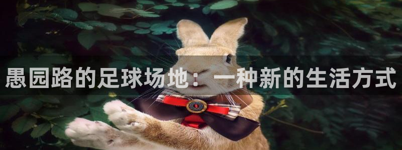 风速体育直播：愚园路的足球场地：一种新的生活方式