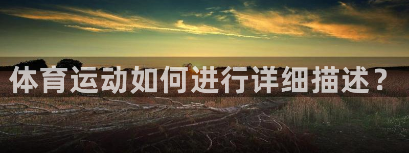 风速体育直播：体育运动如何进行详细描述？