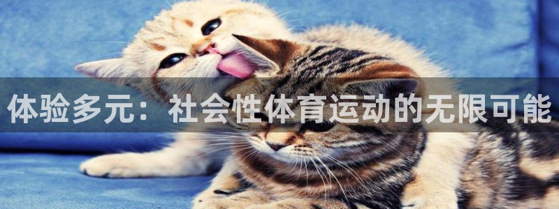 风速体育cba直播：体验多元：社会性体育运动的无限可能