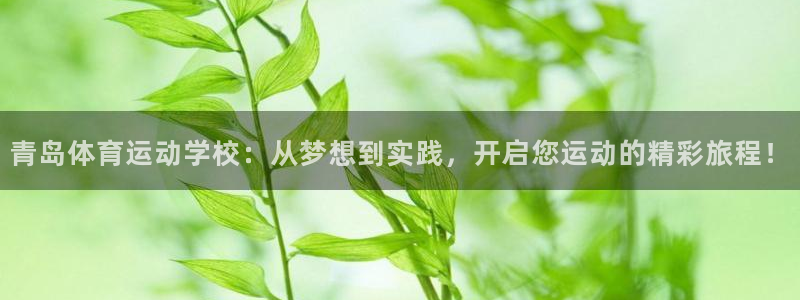 风速体育直播：青岛体育运动学校：从梦想到实践，开启您运动的精彩旅程！