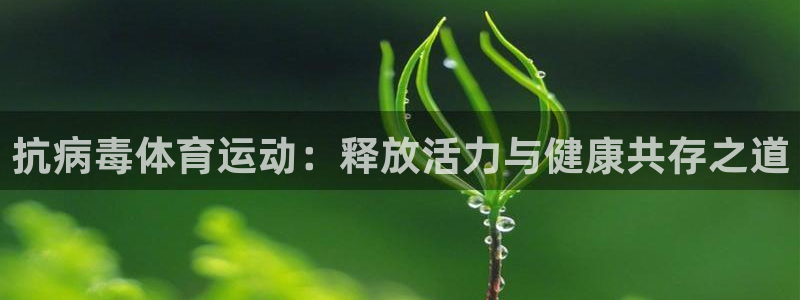 风速体育app