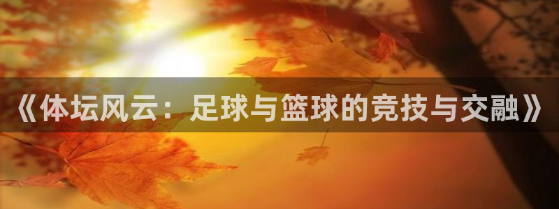 风速体育cba直播：《体坛风云：足球与篮球的竞技与交融》