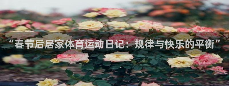 风速体育app官方下载：“春节后居家体育运动日记：规律与快乐的平衡”