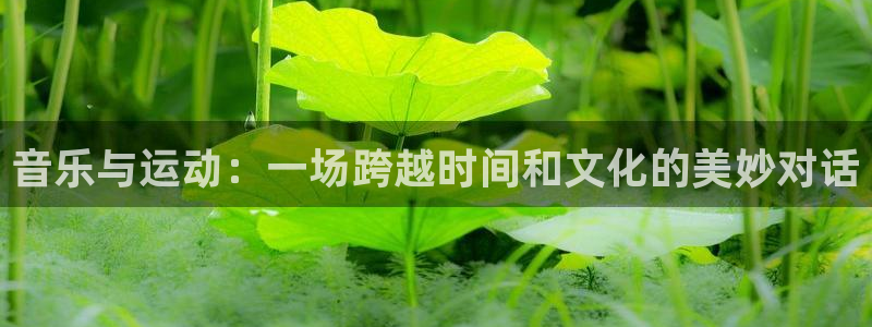 风速体育官网
