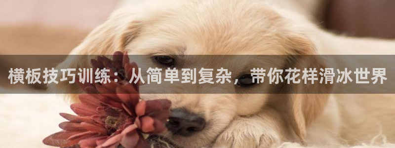 风速体育：横板技巧训练：从简单到复杂，带你花样滑冰世界